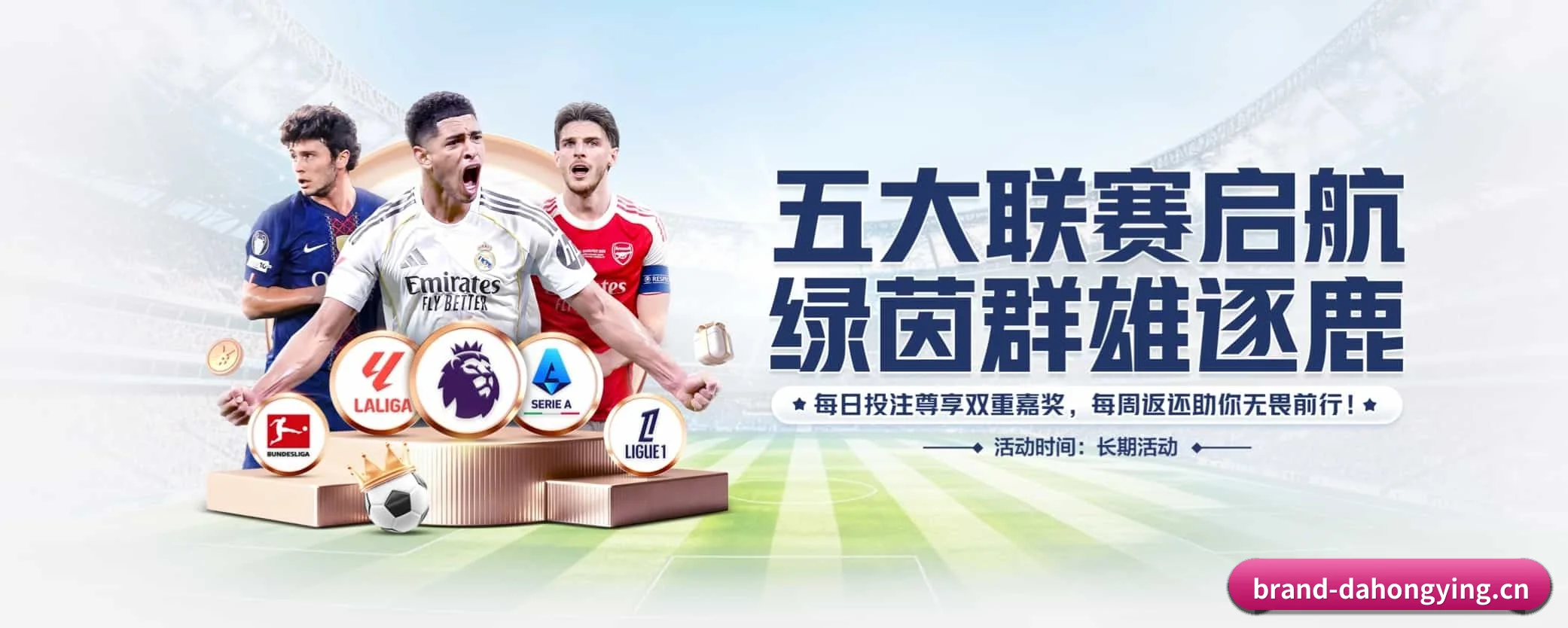 大红鹰dhy APP